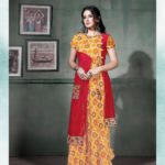 PATLANI OCCASSION VOL 1 heavy full length gown collection for home wear & party wear